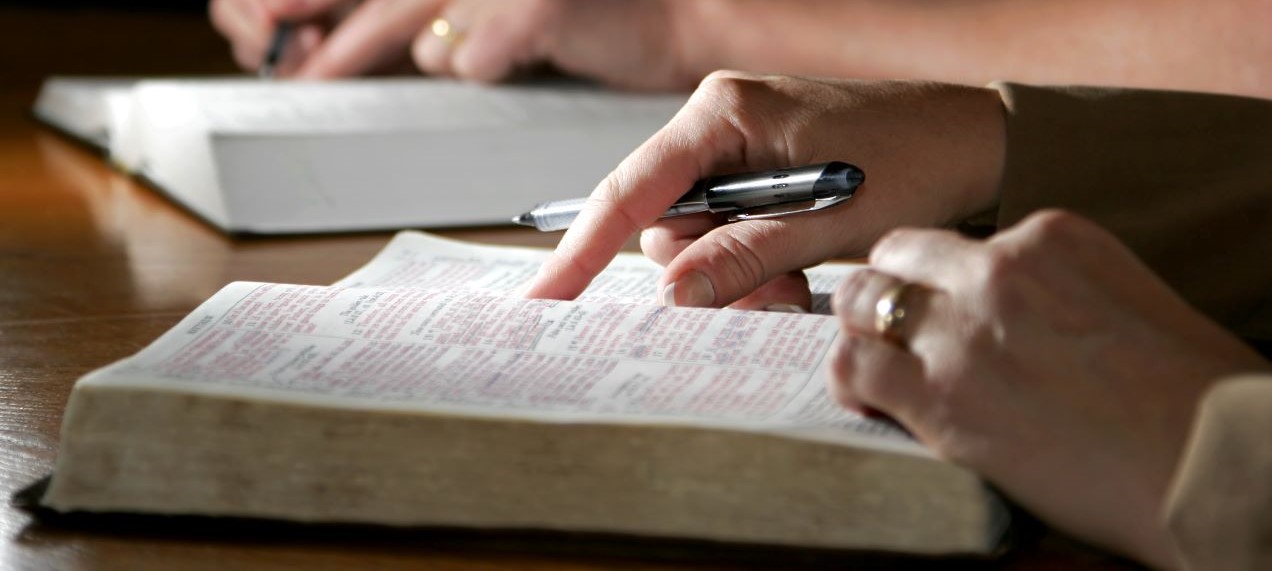 Studying the Bible